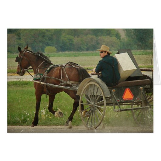Trot On Home Cards (Front Horizontal)