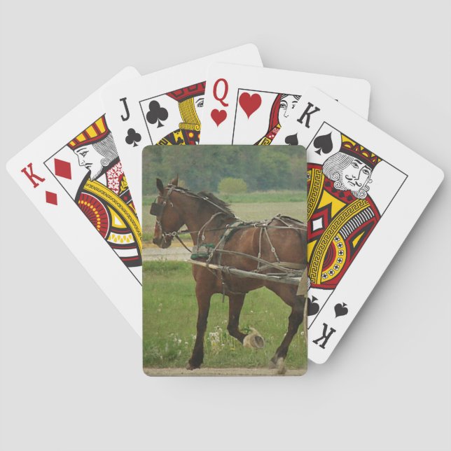 Trot On Home Poker Cards (Back)