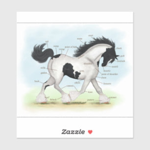 Trotting Black and White Gypsy Horse Anatomy Chart Sticker