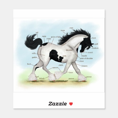 Trotting Black and White Gypsy Horse Anatomy Chart Sticker