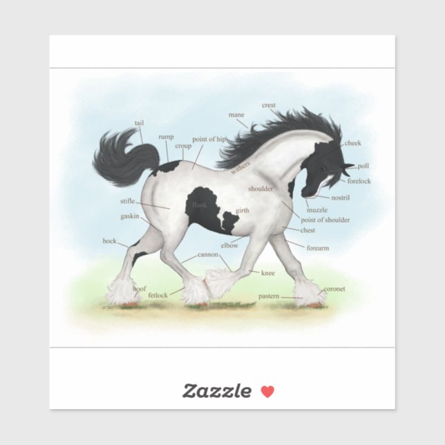 Trotting Black and White Gypsy Horse Anatomy Chart Sticker (Sheet)