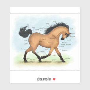 Trotting Buckskin Horse Anatomy Chart Educational Sticker