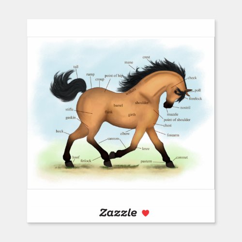 Trotting Buckskin Horse Anatomy Chart Educational Sticker