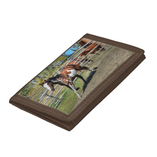 Trotting Paint Pinto Ranch Horse Equine Photo Tri_fold Wallet