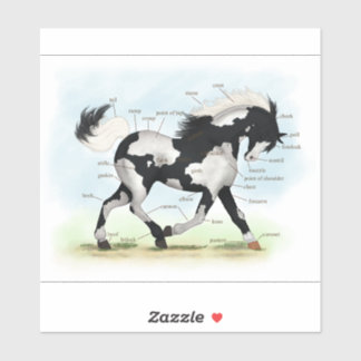 Trotting Piebald Overo Paint Horse Anatomy Chart Sticker