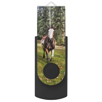 Trotting Pinto Paint Stallion On A Horse Ranch Usb Flash Drive by RavenSpiritPrints at Zazzle