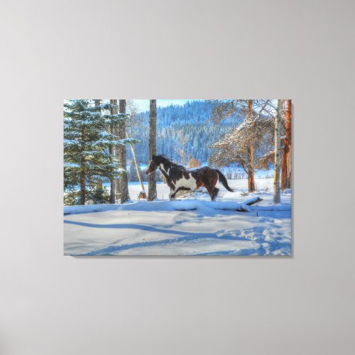 Trotting Pinto Paint Stallion  Winter Snows Canvas Print