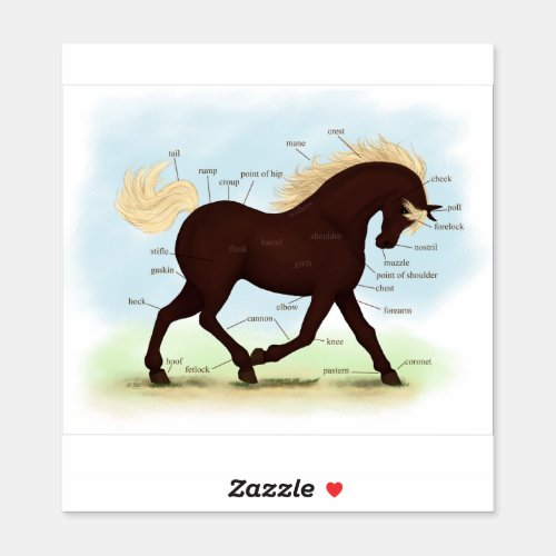 Trotting Rocky Mountain Horse Equine Anatomy Chart Sticker