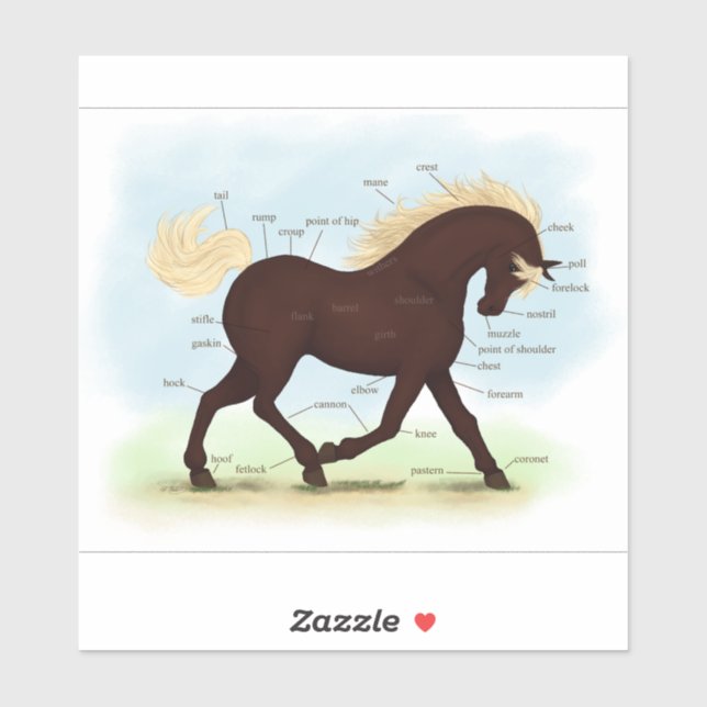 Trotting Rocky Mountain Horse Equine Anatomy Chart Sticker (Sheet)