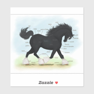 Trotting Shire Draft Horse Equine Anatomy Chart St Sticker