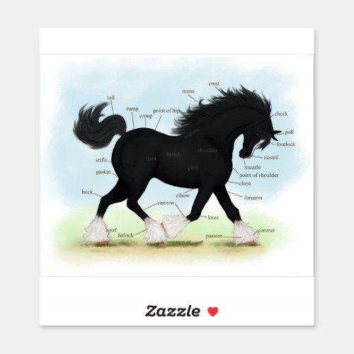 Trotting Shire Draft Horse Equine Anatomy Chart St Sticker