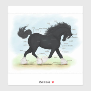 Trotting Shire Horse Equestrian Anatomy Chart Sticker
