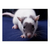 Trouble Card (Front Horizontal)