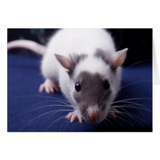 Trouble Card (Front Horizontal)