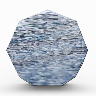 Trouble in the water acrylic award