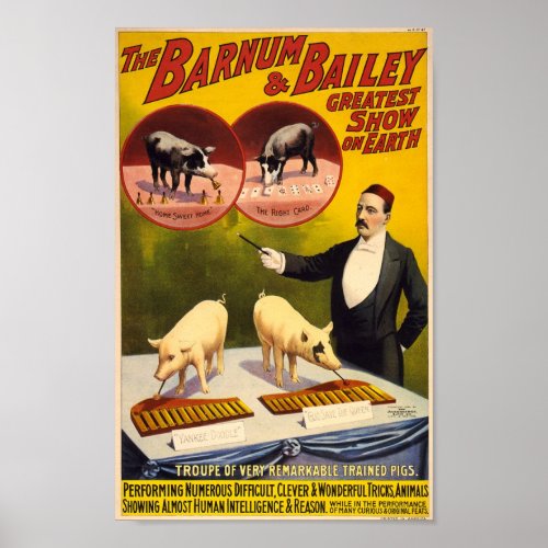 Troupe of Remarkable Trained Pigs Circus Poster