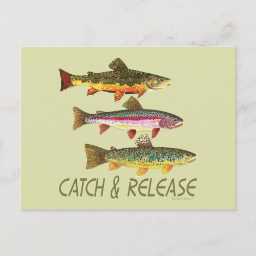 Trout Catch and Release Postcard