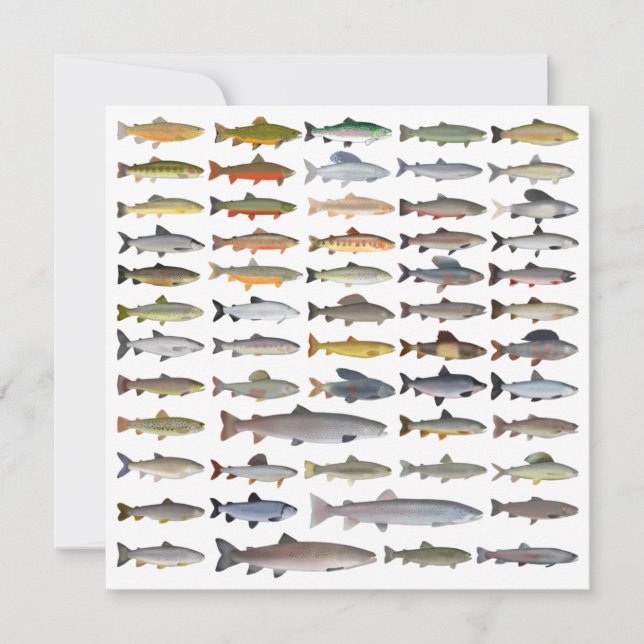 Trout, Char, Grayling, Hucho and Whitefish Group Note Card (Front)