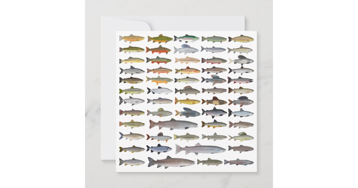 Fly Fishing Flies Note Card