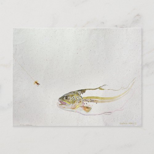 Trout chasing a fishermans fly postcard