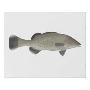 Trout Cod Faux Canvas Print