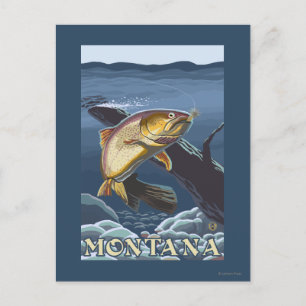 Trout Fishing Cross-Section - Montana Postcard
