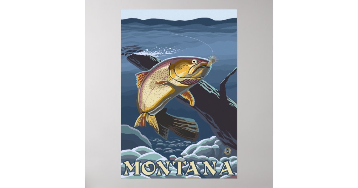 Trout Fishing CrossSection Montana Poster Zazzle