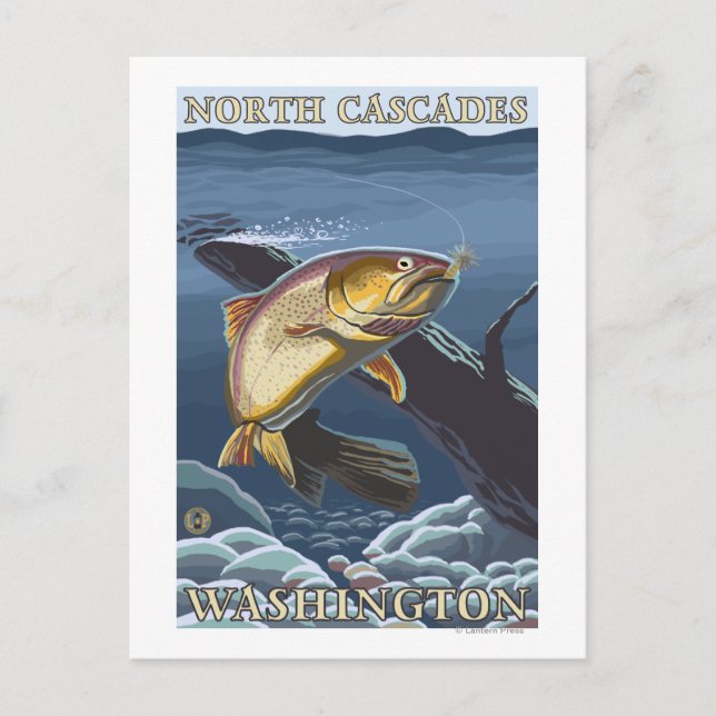 Trout Fishing Cross-Section - North Cascades, Postcard (Front)