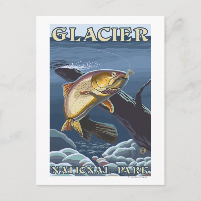 Trout Fishing Cross-Section Postcard (Front)