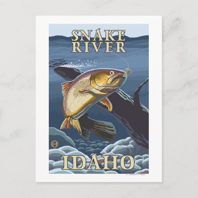 Trout Fishing Cross-Section - Snake River, Postcard (Front)