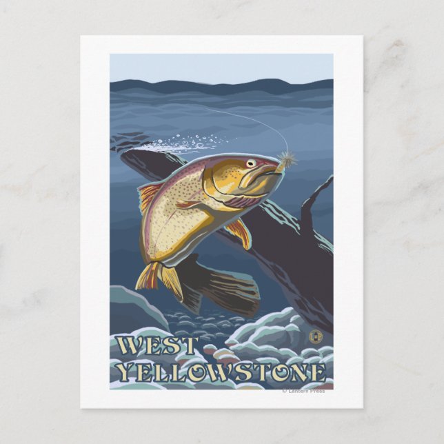 Trout Fishing Cross-Section - West Yellowstone, Postcard (Front)