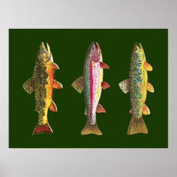 Trout Fishing Poster by TroutWhiskers at Zazzle