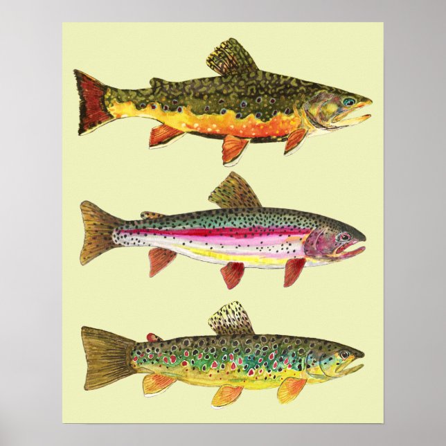 Trout Fishing Poster (Front)