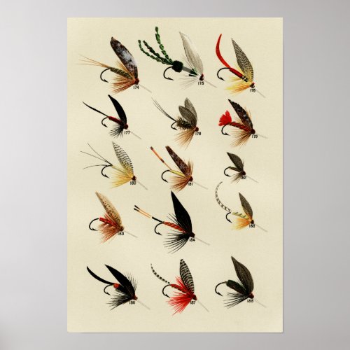 Trout Flies 174 to 188 Vintage Poster