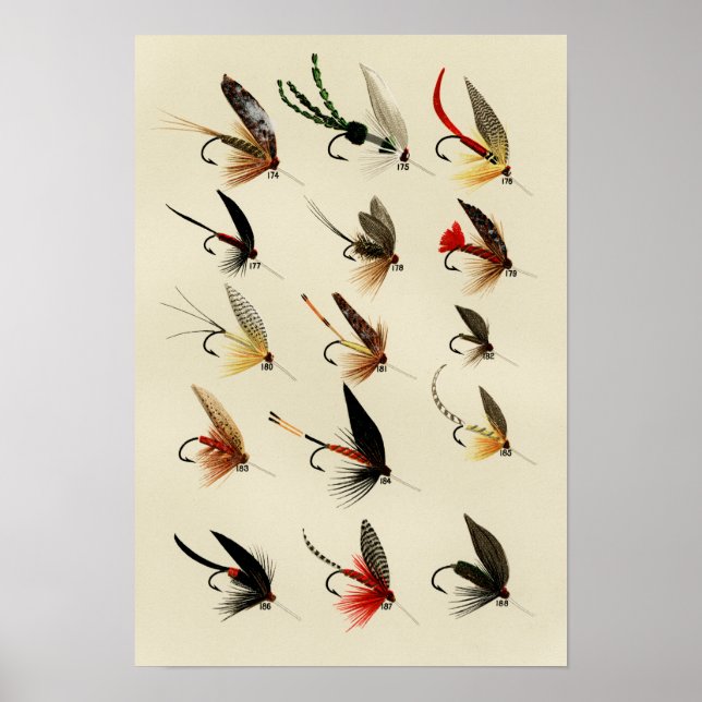 Trout Flies 174 to 188 Vintage Poster (Front)