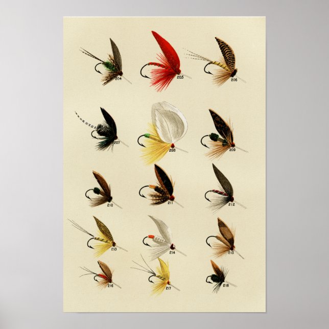 Trout Flies 204 to 218 Vintage Poster (Front)
