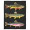 Trout Fly Fishing - Brook, Brown, Rainbow