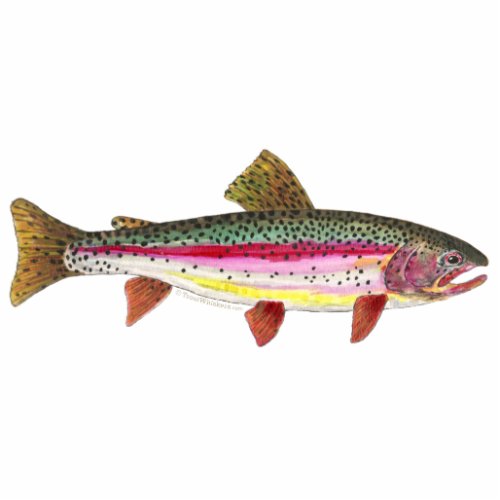 Trout Fly Fishing Cutout