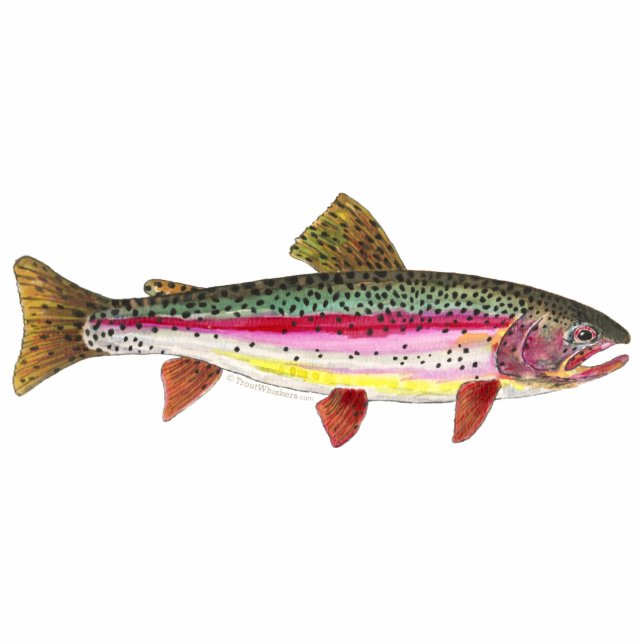 Trout Fly Fishing Cutout (Front)