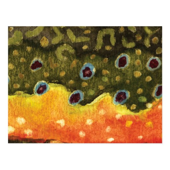 Trout Fly Fishing Postcard
