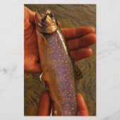 Trout in Hands (Front)