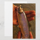 Trout in Hands (Front/Back)