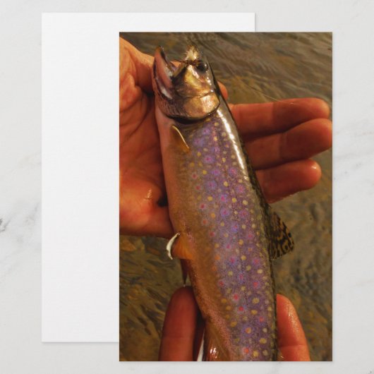 Trout in Hands (Front/Back)