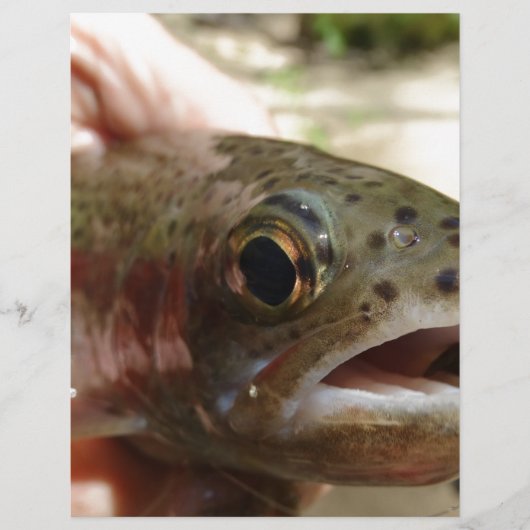 Trout in Hands (Front)