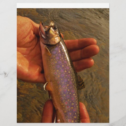 Trout in Hands (Front)