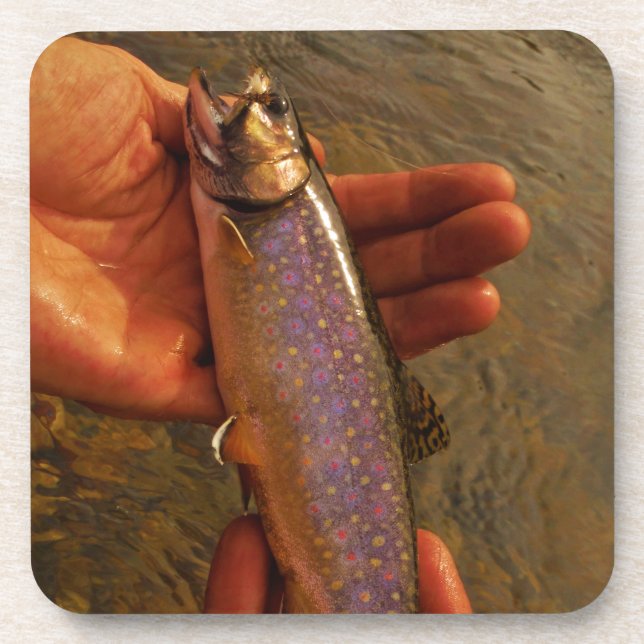 Trout in Hands Beverage Coaster (Front)
