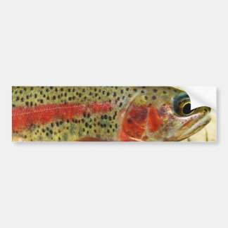 Trout in Hands Bumper Sticker
