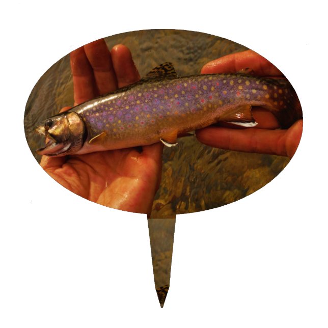 Trout in Hands Cake Topper (Front)