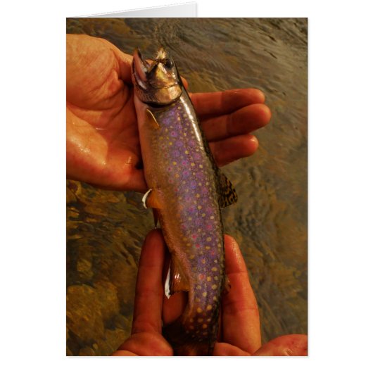 Trout in Hands Cards (Front)
