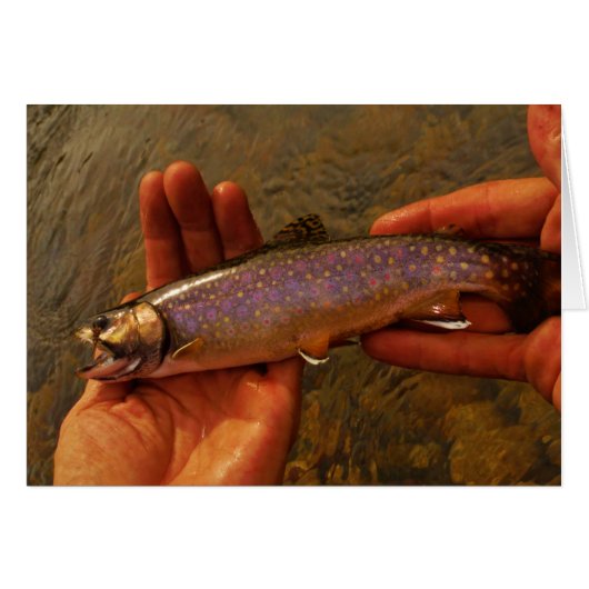 Trout in Hands Cards (Front Horizontal)